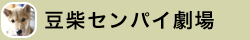 豆柴センパイ劇場