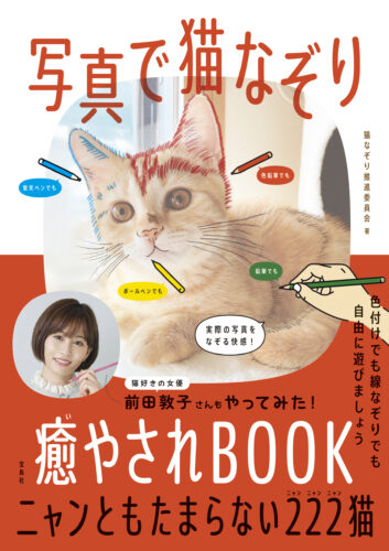 写真で猫なぞり 癒やされBOOK