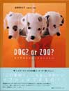 DOG? or ZOO?—ヌイグルミニナッテコンニチハ